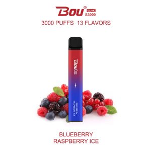 Blueberry Raspberry Ice