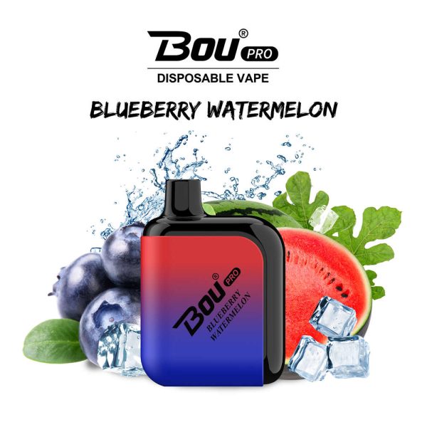 BOU Pro Blueberry Watermelon — Best 30 Disposable Vape Flavors