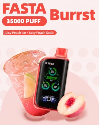 Miami Mint RAZ DC25000 — KLOUDYX Raz Vape